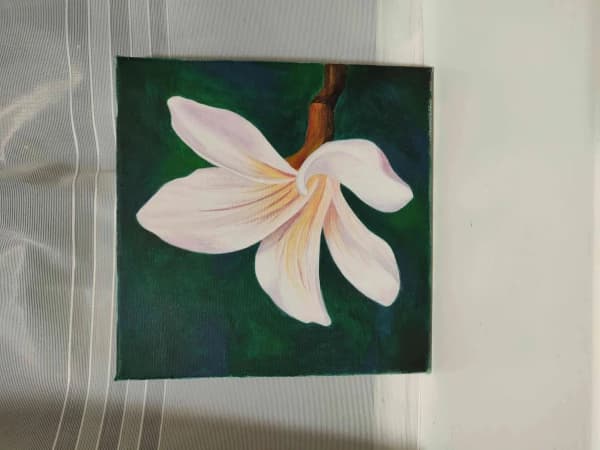 Bloom 1675088821- Plumeria Acrylic Artwork