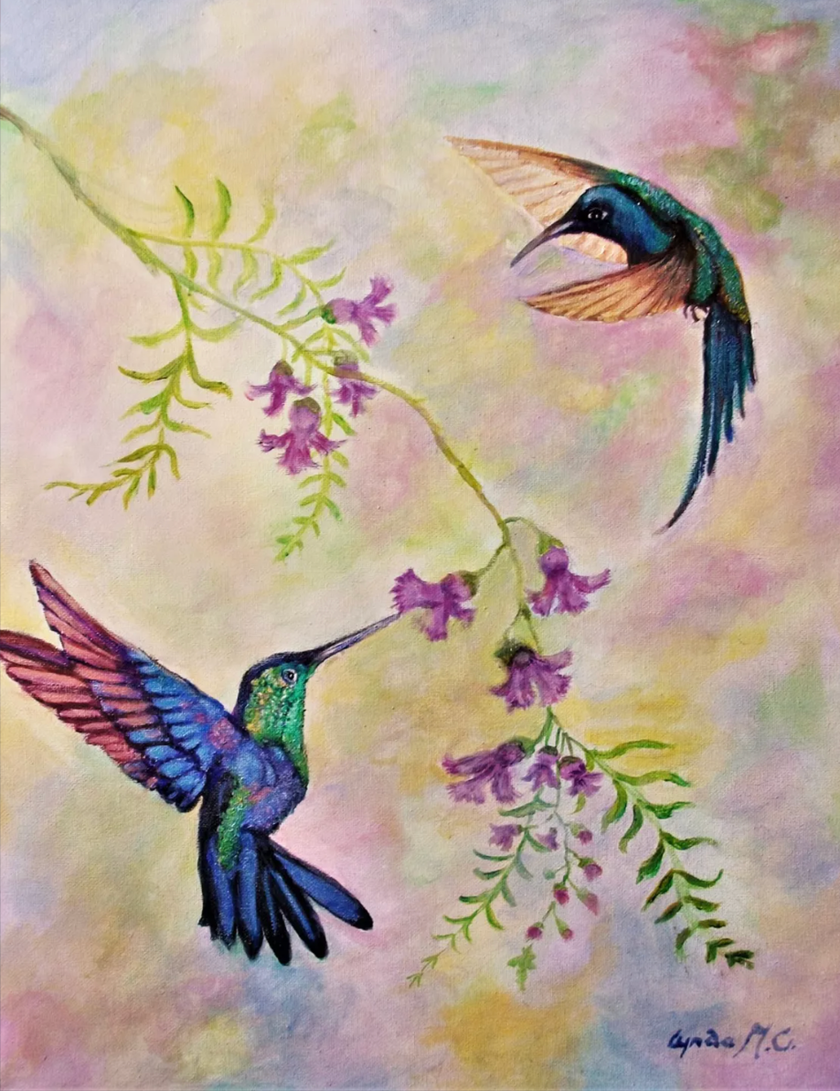 Hummingbirds thumbnail-0