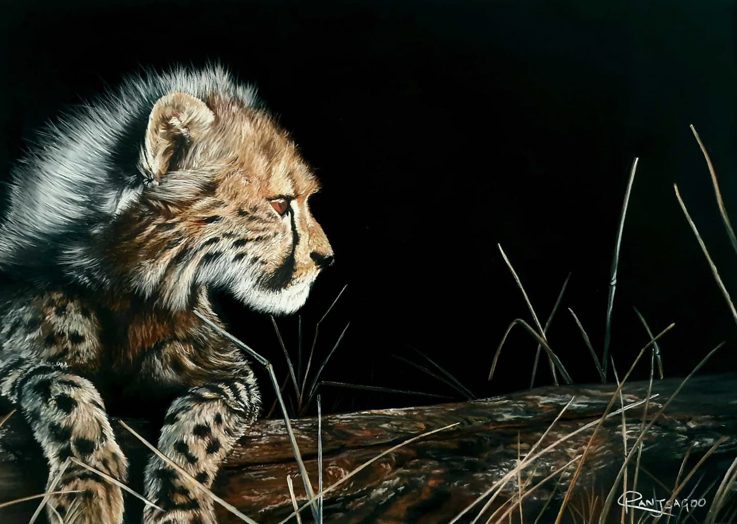 Tomorrow - Cheetah Giclee Print thumbnail-0