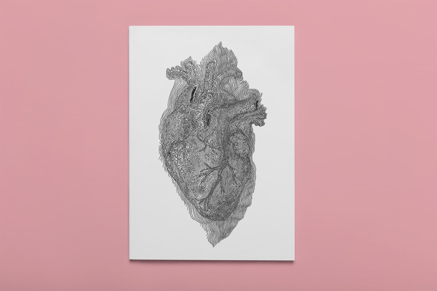 To Love-Anatomical Heart Contour Line Drawing thumbnail-2