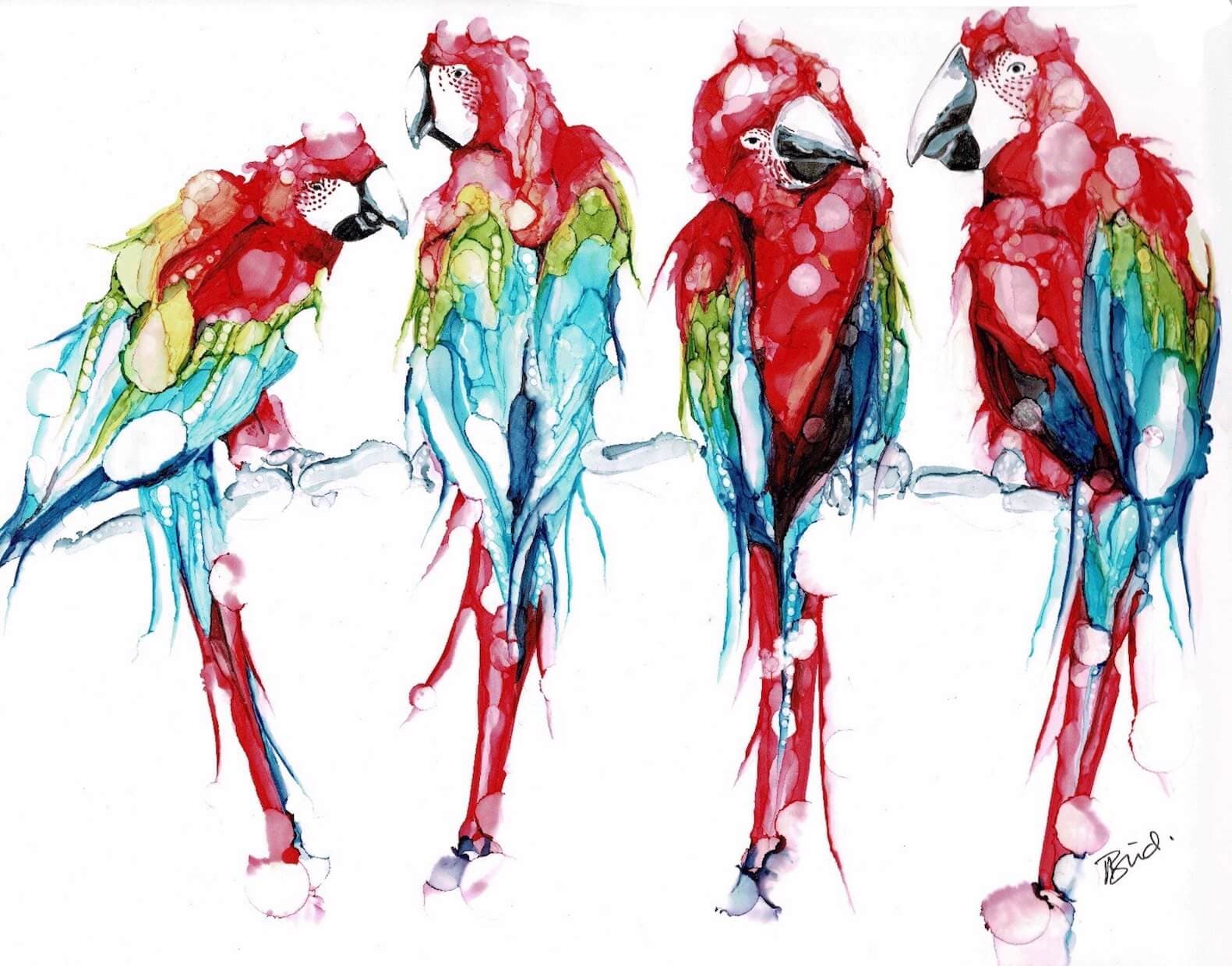 Four Macaws Figurative Art thumbnail-0