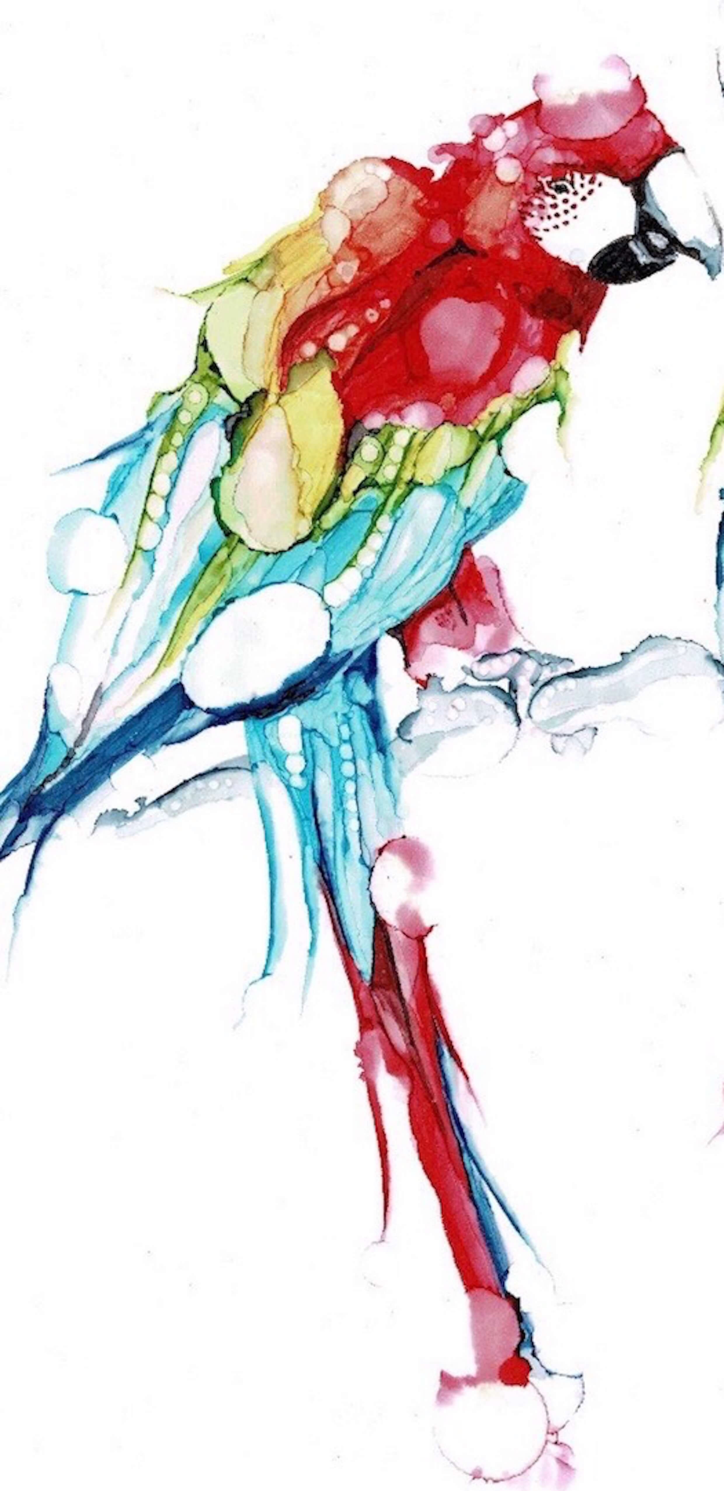 Four Macaws Figurative Art thumbnail-1