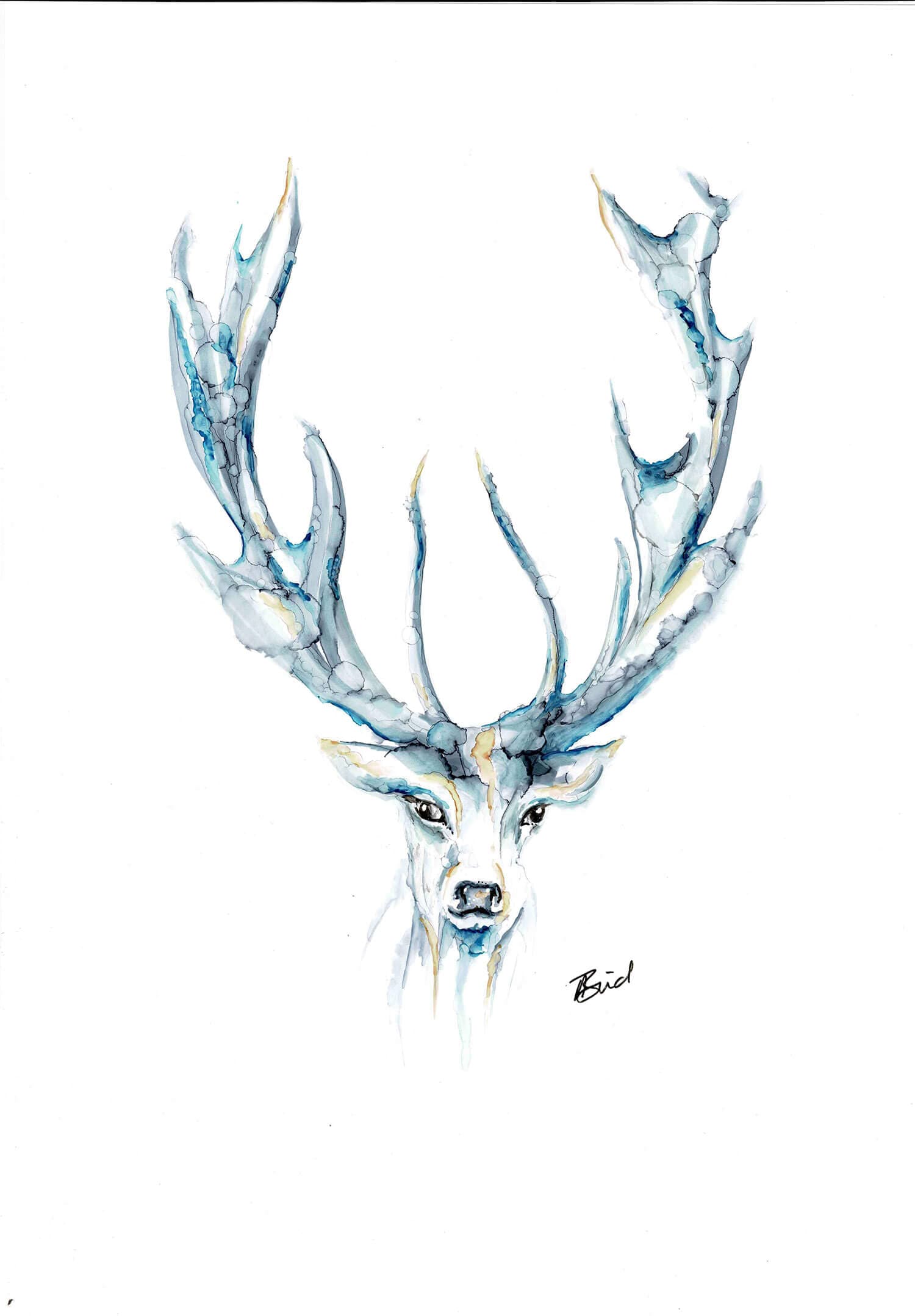 Blue Stag Ink Art thumbnail-0