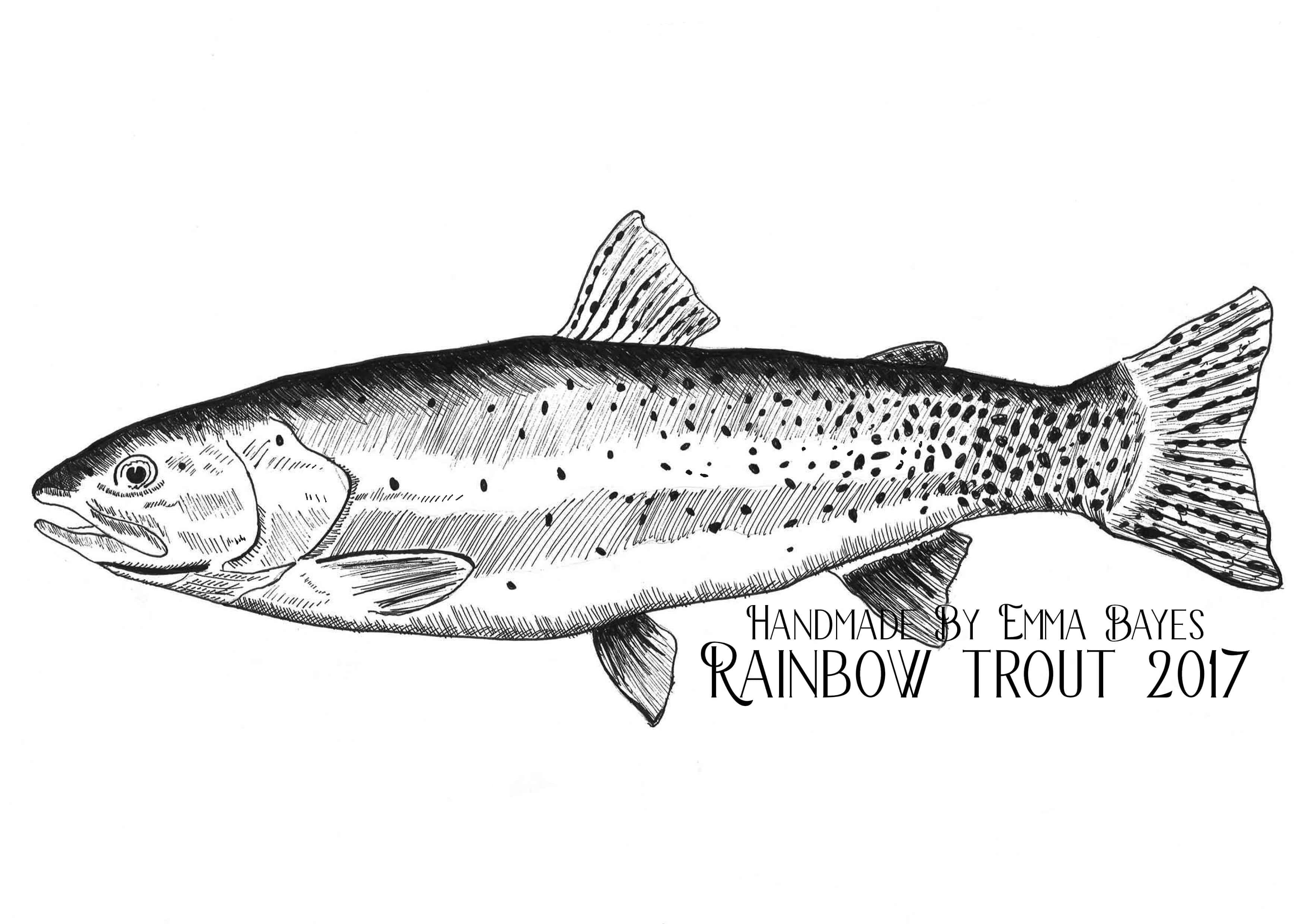 A4 Black and White Rainbow 1-Trout Print Art thumbnail-1