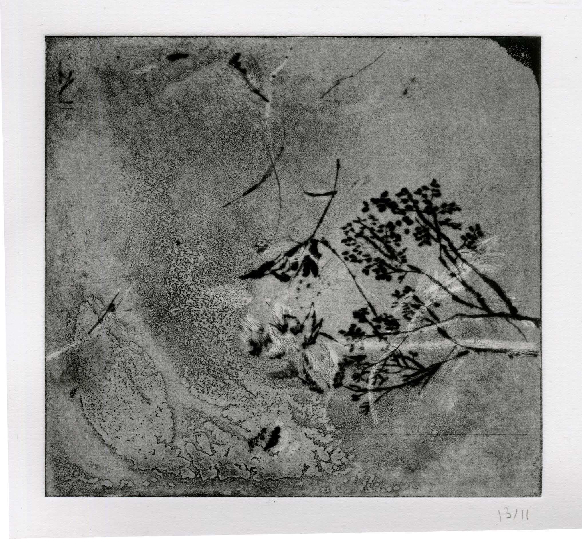 Nature Etching Artwork