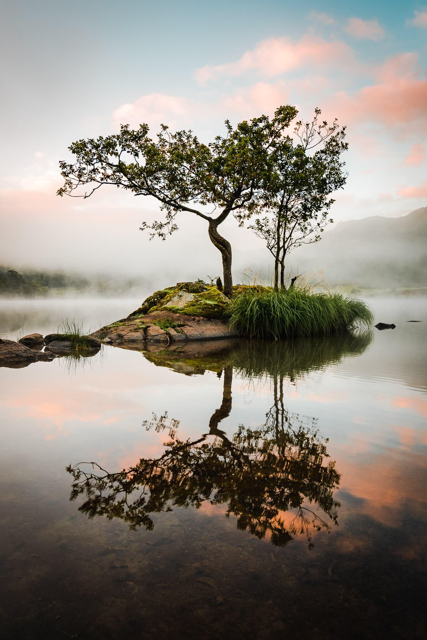 Lone Tree at Rydal Water Photography thumbnail-1