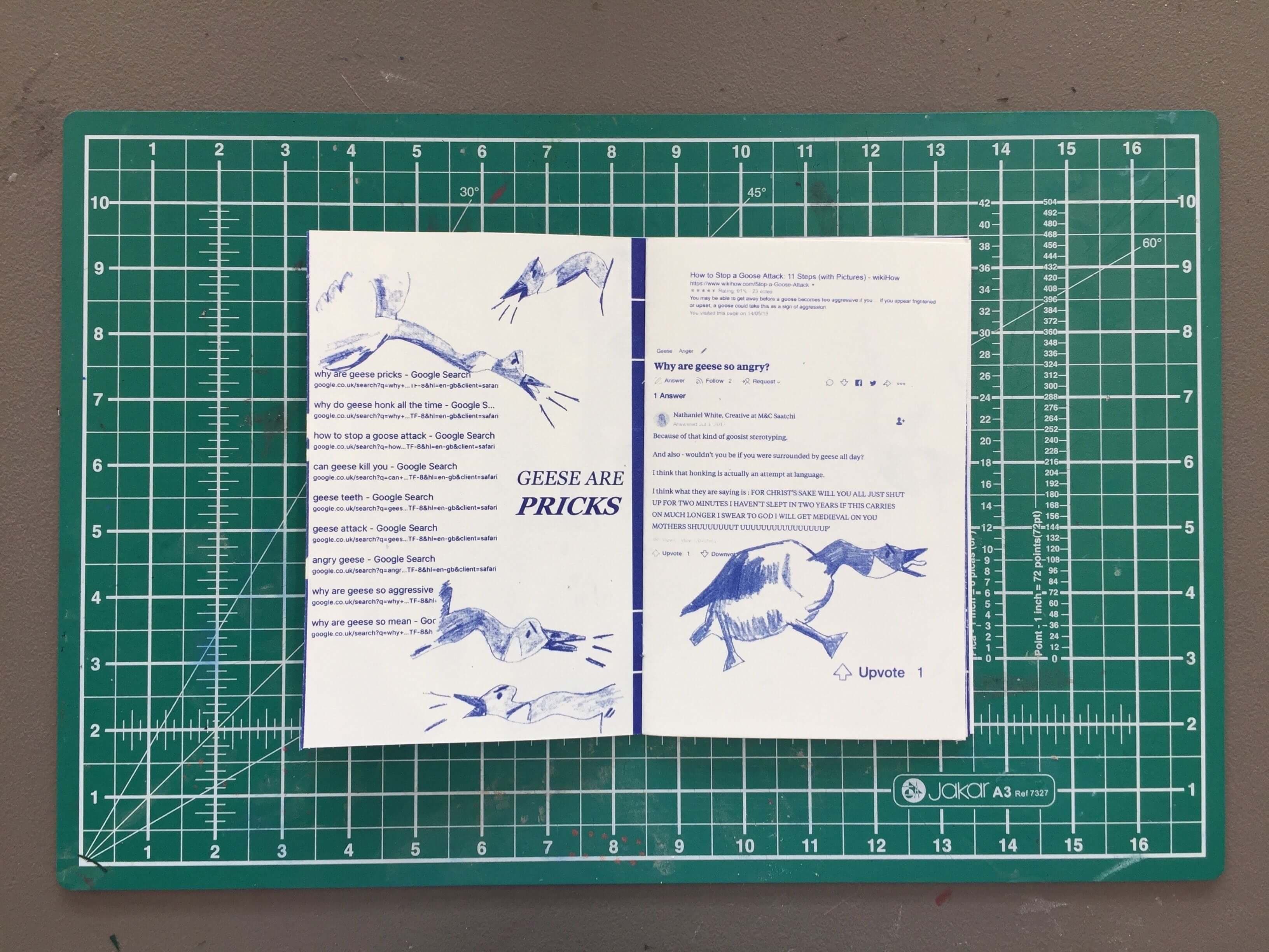 Pick This One Print and Zine - Single Colour Risograph Print thumbnail-2