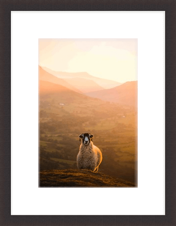 Swaledale at Sunset Photography