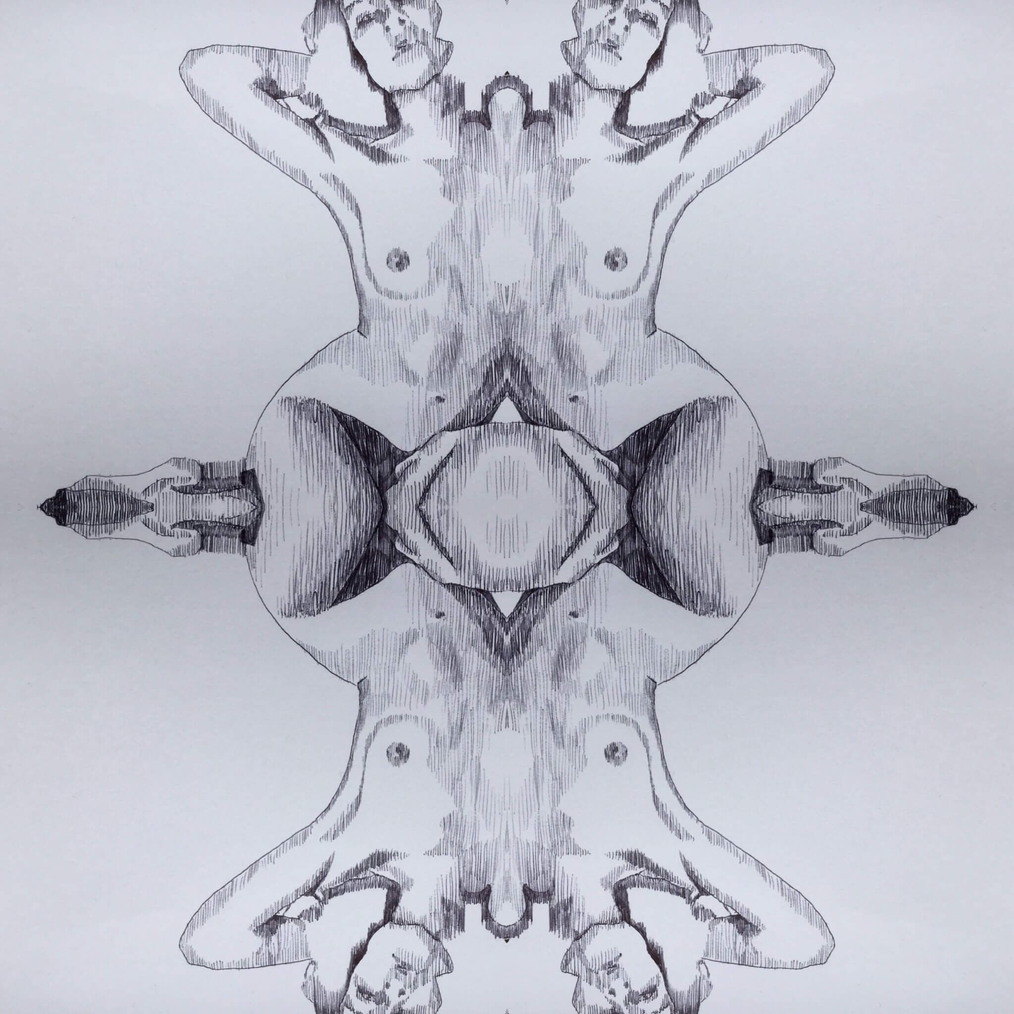 Mirrored Biro Body 02 - Abstract Body Pattern Art