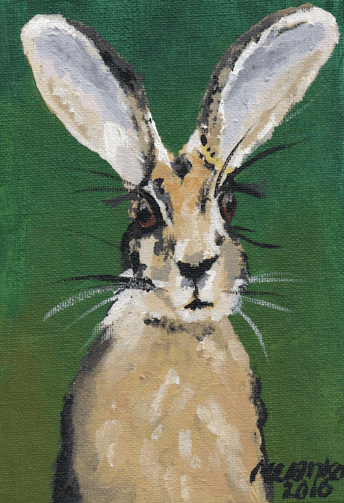 Hare in the Headlights (Print) thumbnail-0