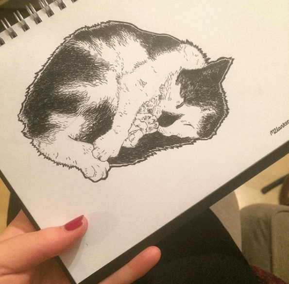 Cat Nap 2 (Print)