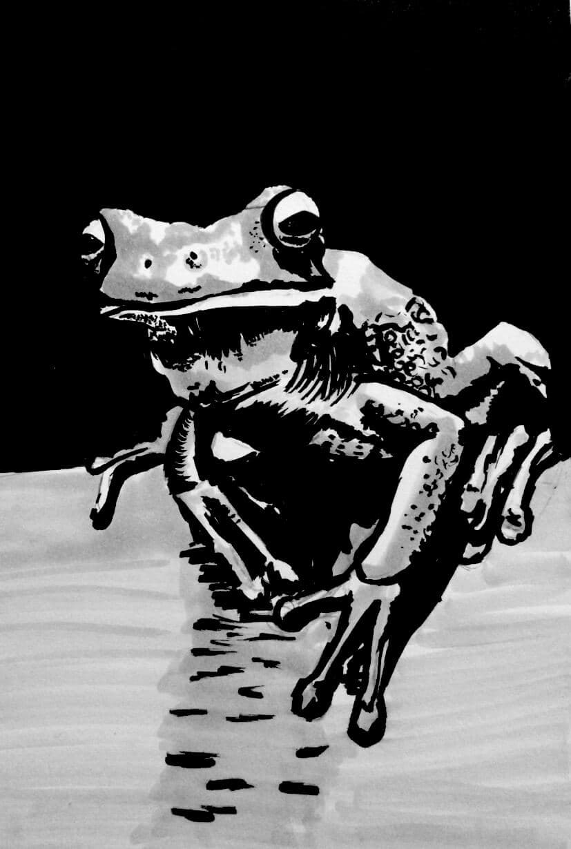 Tree frog ink artwork Print Version