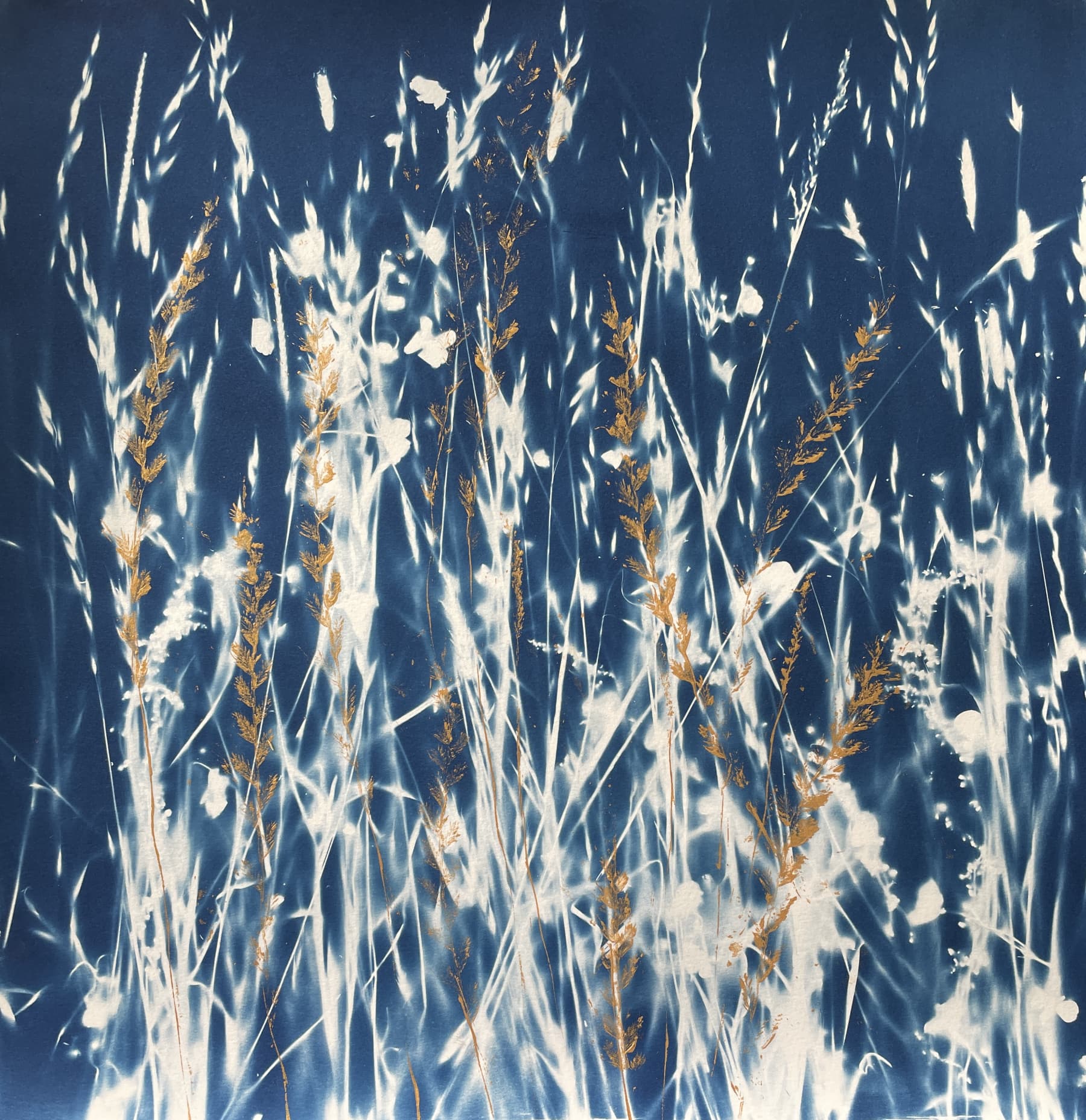 Summer Daze - Gold Painted Cyanotype Artwork