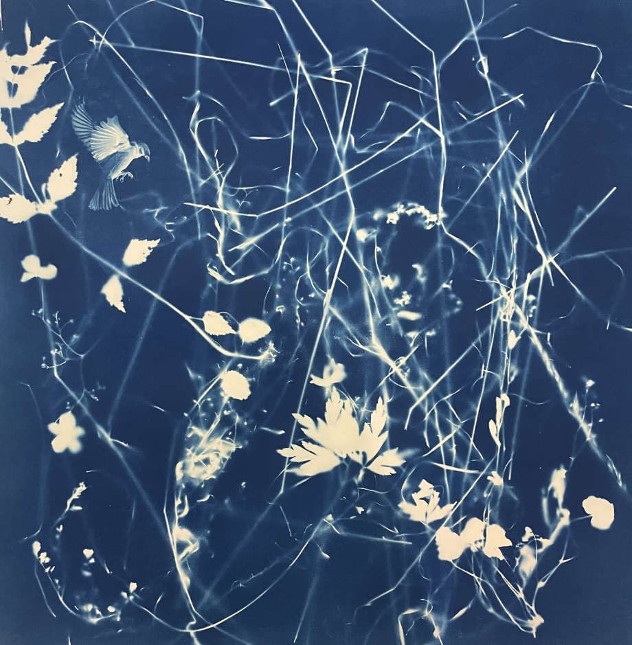 The Weightlessness of Desire - White Mount Cyanotype Art thumbnail-0