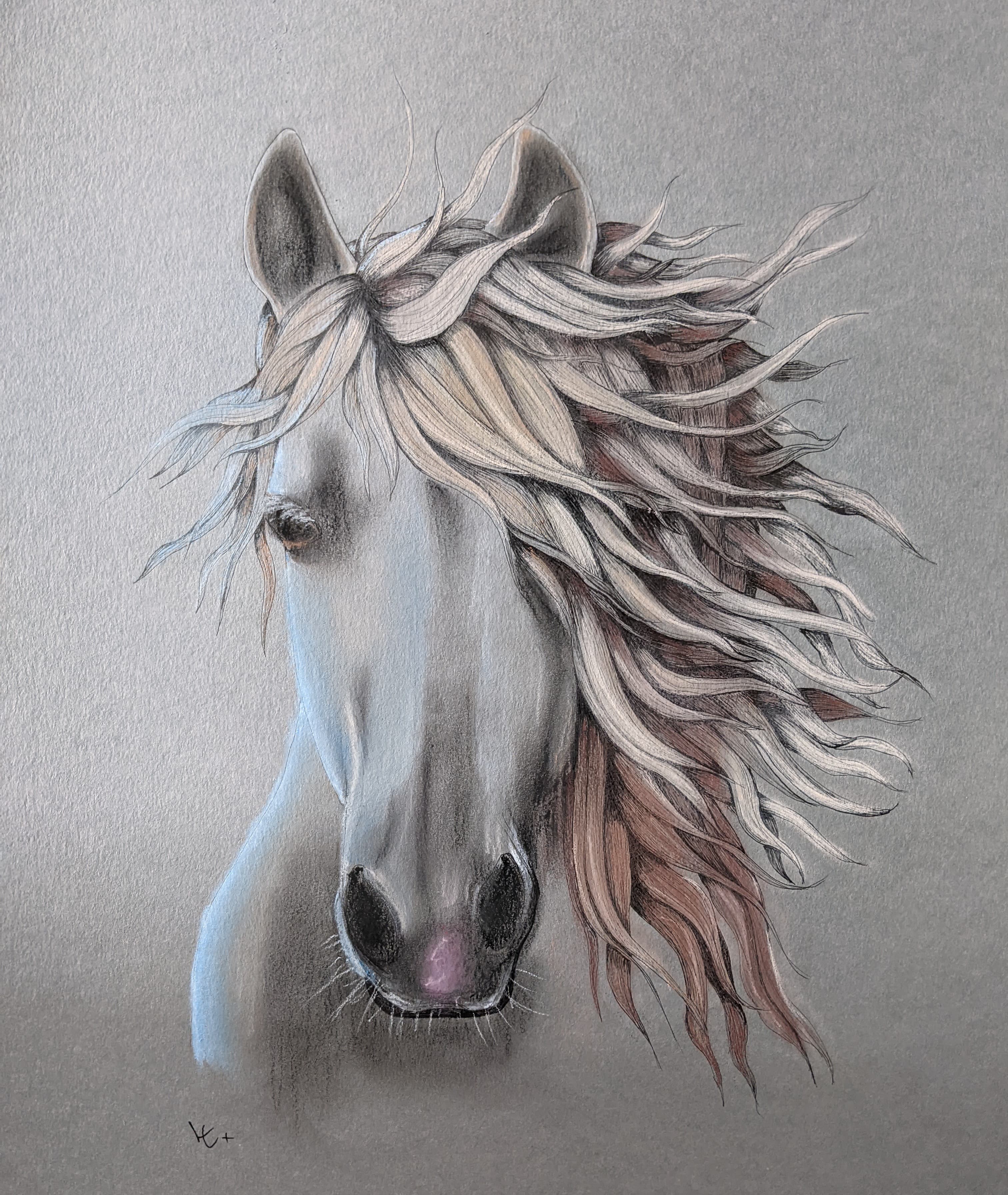 Horse- Illustrative Horse Pastel Artwork