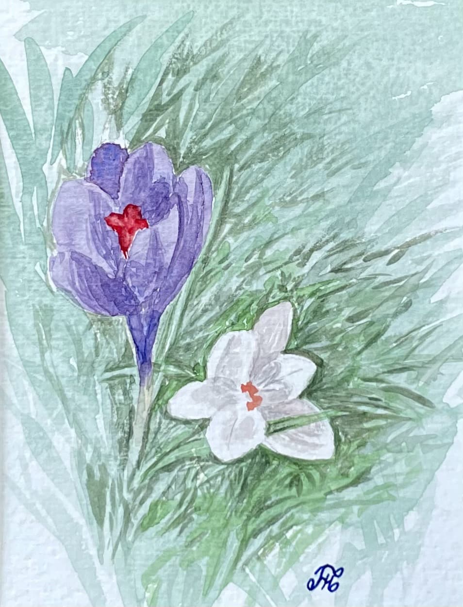 Crocus Watercolour Painting thumbnail-0