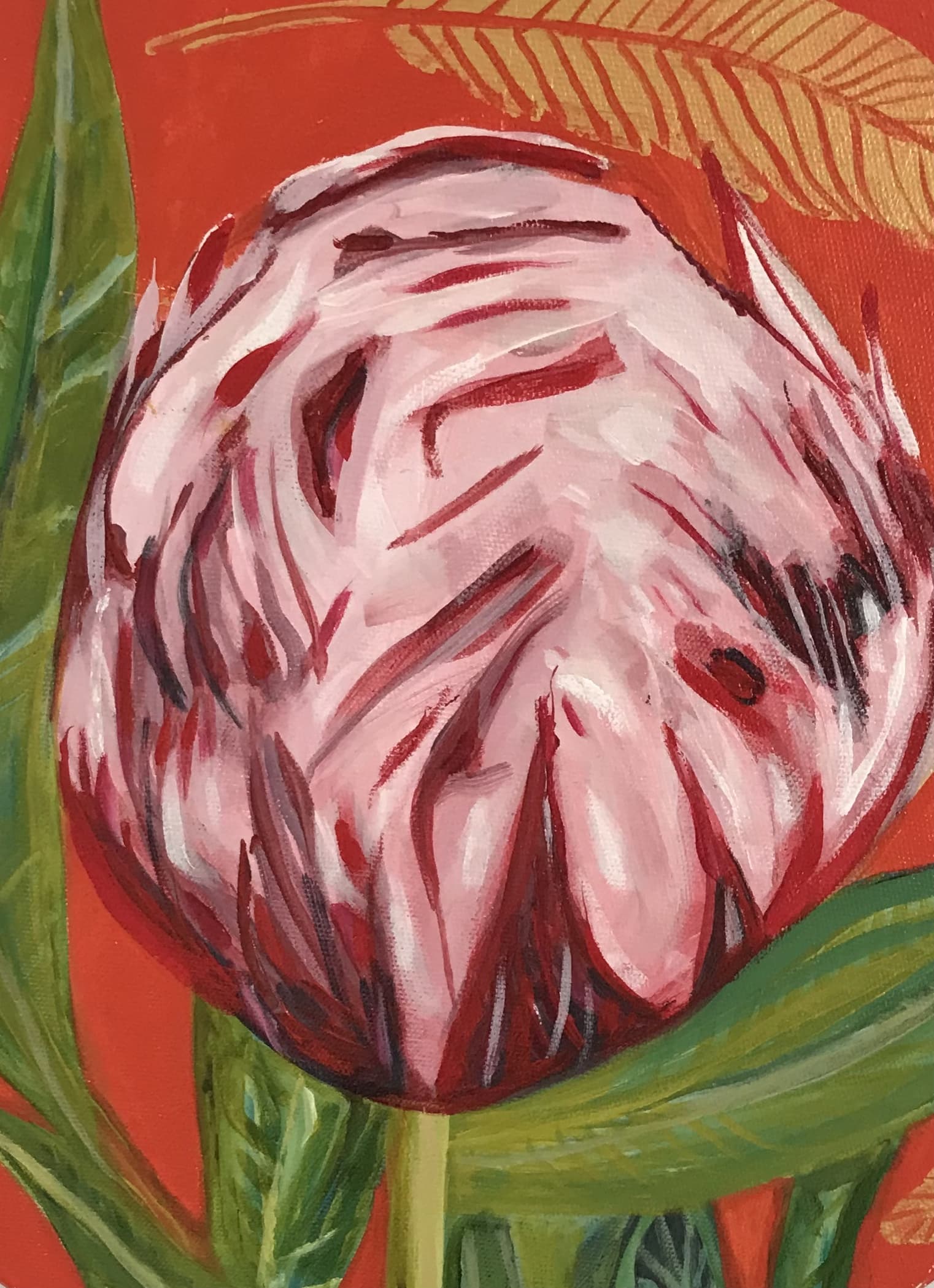 Peony thumbnail-1