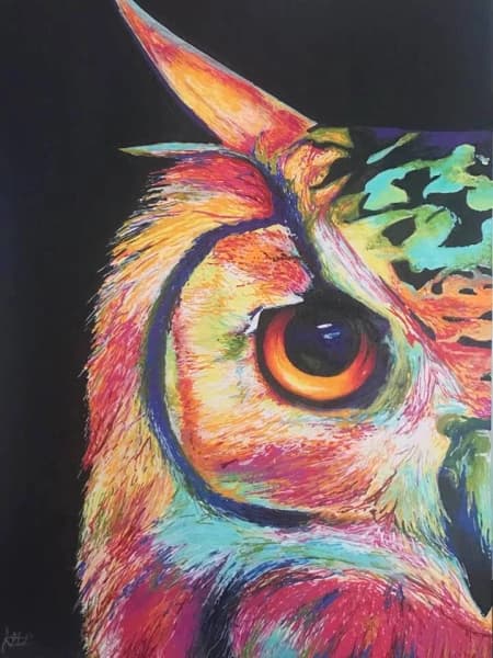 Colourful Owl Figurative Art