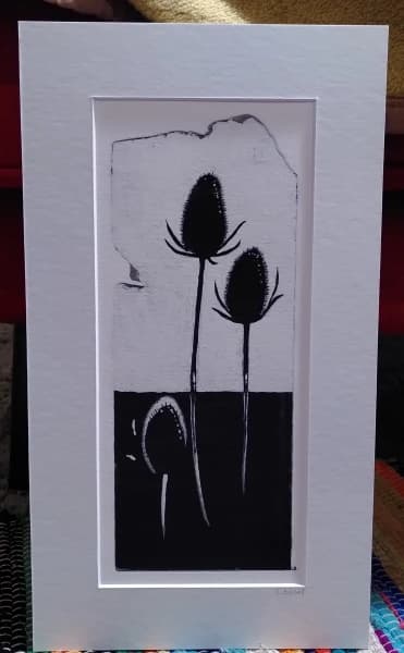 Teasels