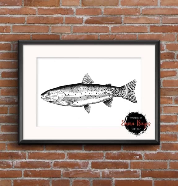 A4 Black and White Rainbow 1-Trout Print Art