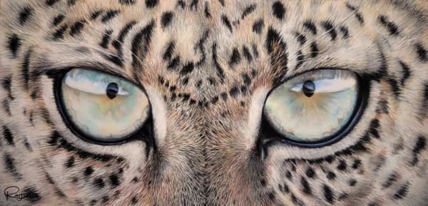 Intensity - Leopard Eye Giclee Print