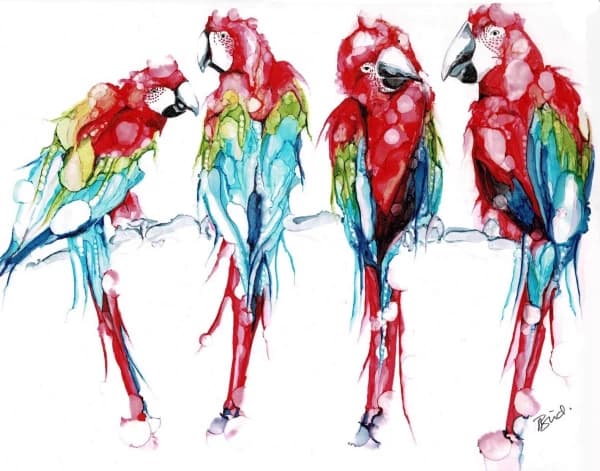 Four Macaws Figurative Art