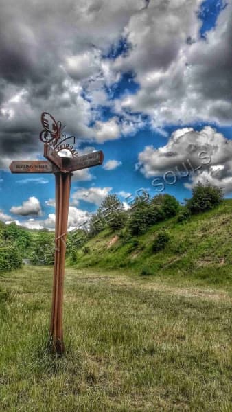 St Werburghs- Nature Photography Wall Art