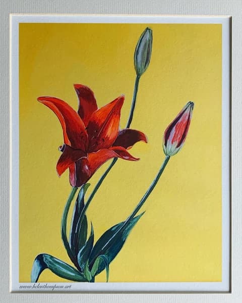 Daylily print