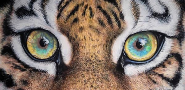 Iridescant - Tiger Eye Giclee Print