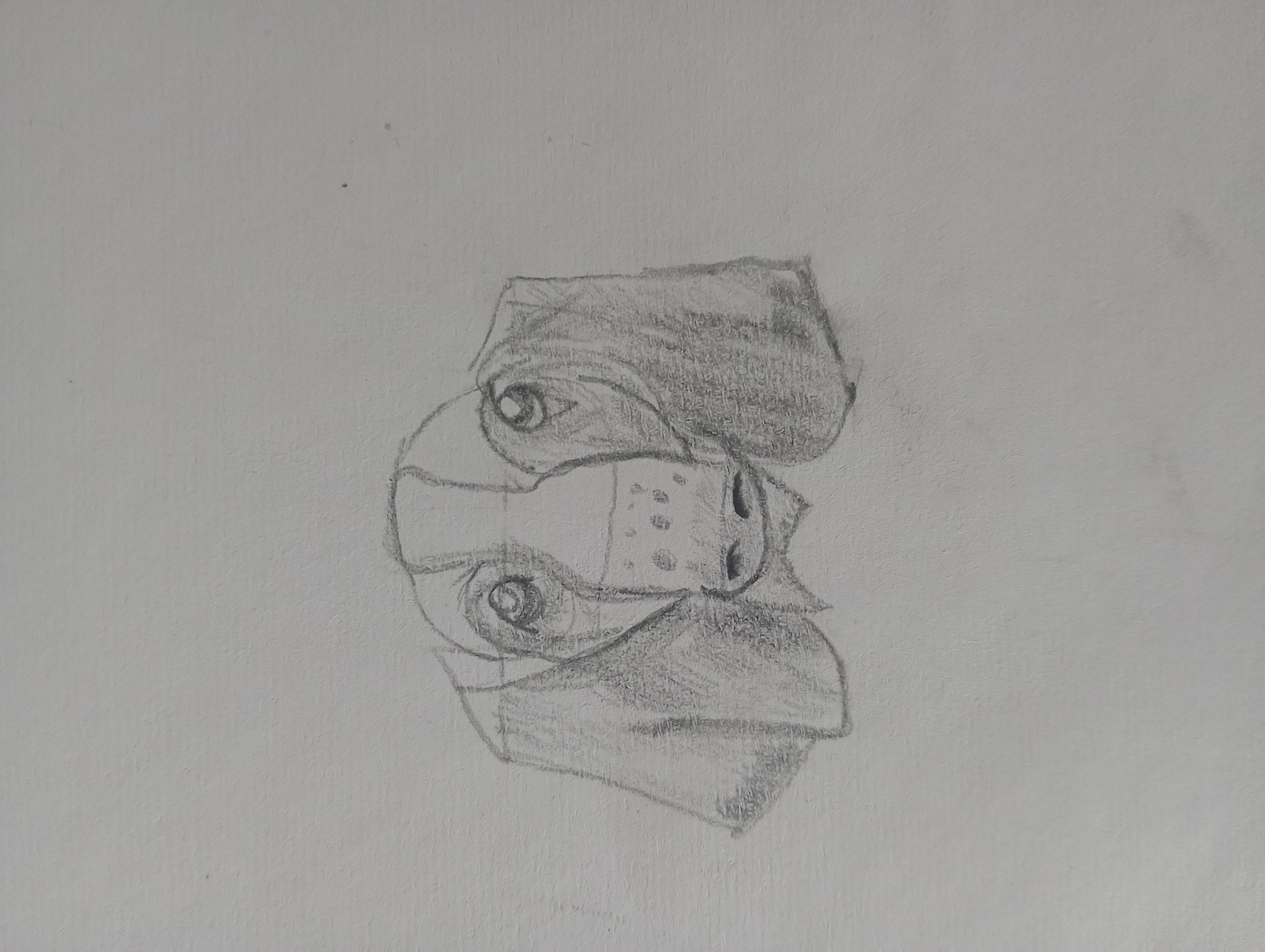 Anonymous