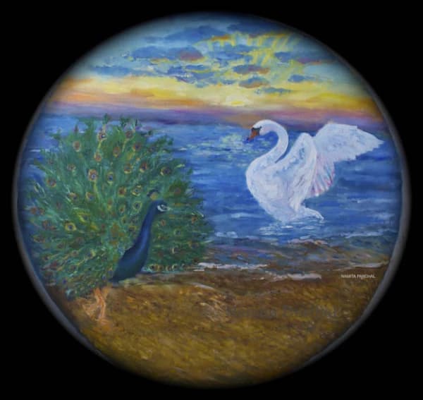 Swan and a Peacock I